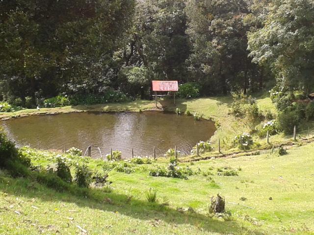 Lagunillas Del Poas Poasito Eksteriør billede